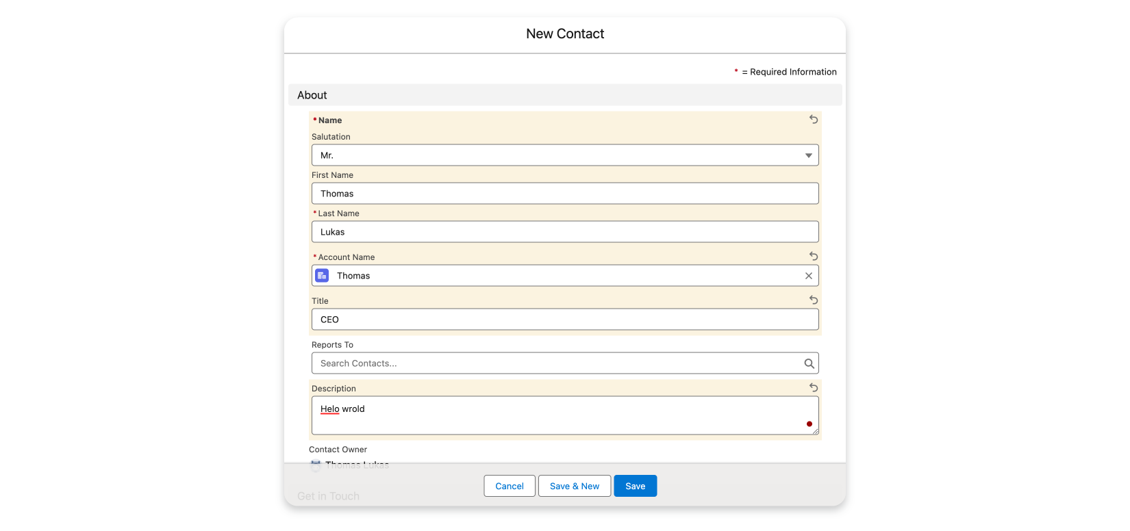 Sapling AI initiated in the text area in the Salesforce lead form